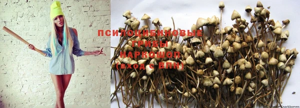 ешки Балабаново
