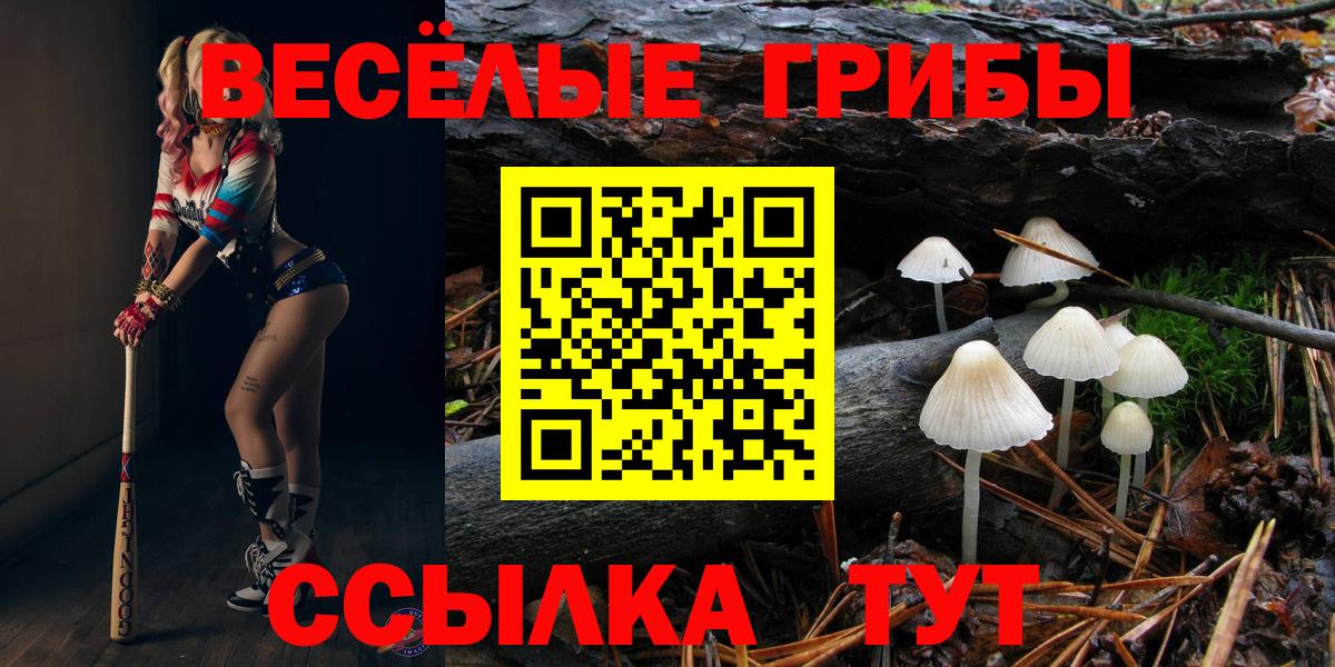 Псилоцибиновые грибы прущие грибы  Вход с VPN  Калуга 